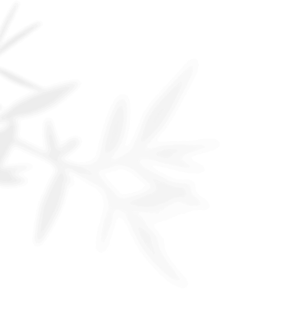shadow_leaves_01 https://www.danielacalvispose.it/wp-content/uploads/2020/11/shadow_leaves_01.png