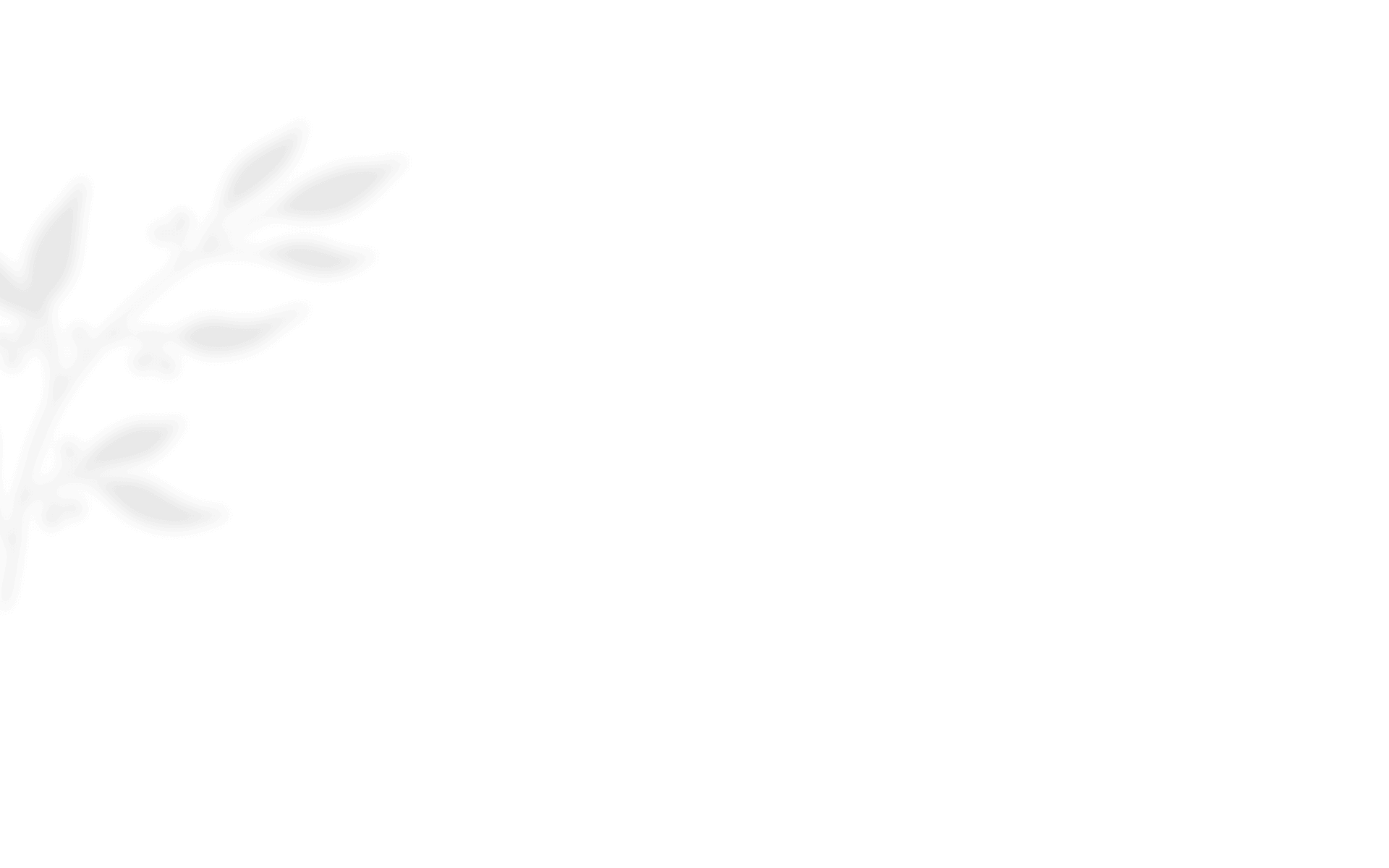 https://www.danielacalvispose.it/wp-content/uploads/2020/12/shadow_leaves_01.png